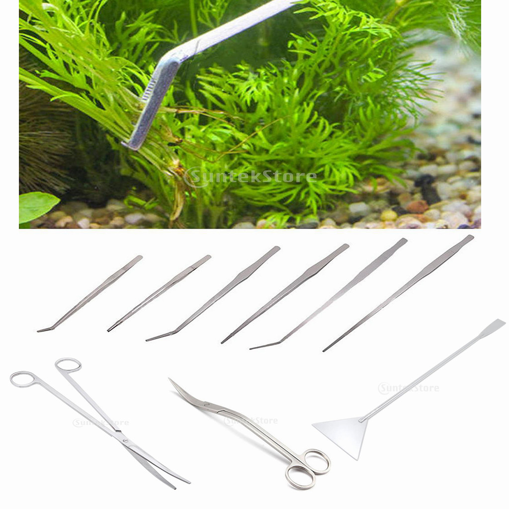 Stainless Steel Aquarium Live Tank Plant Tweezer  27cm Straight Head