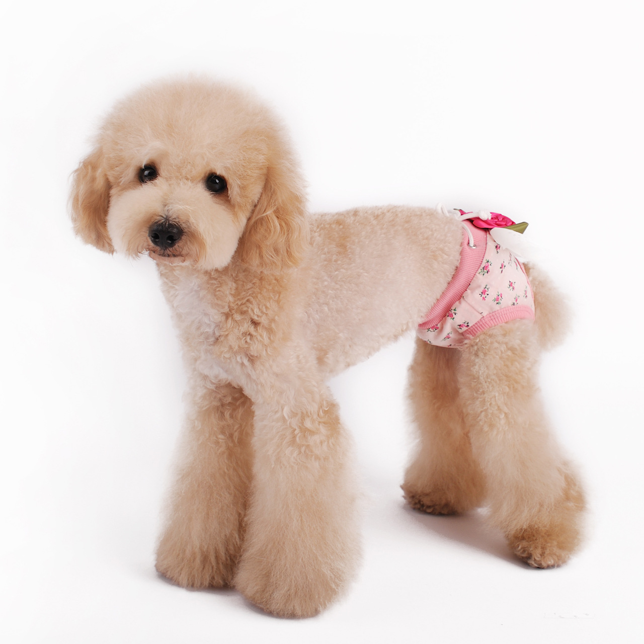 Pet Dog Puppy Female Sanitary Clothes Physiological Shorts Diaper Pink M