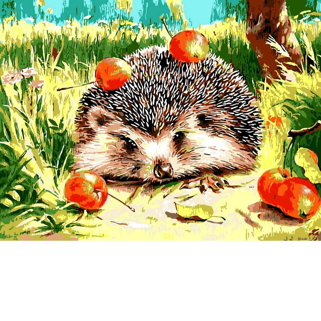  DIY Painting By Numbers Frameless Canvas Picture Hedgehog