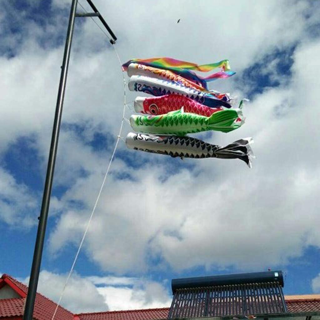 50cm Rainbow Windsock Flag Koi Nobori Wind Streamer Hanging Kite