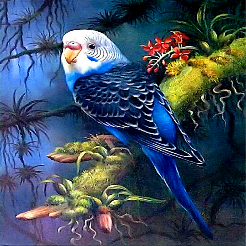 DIY 5D Diamond Embroidery Painting Cross Stitch Kit Oil paint Blue Bird