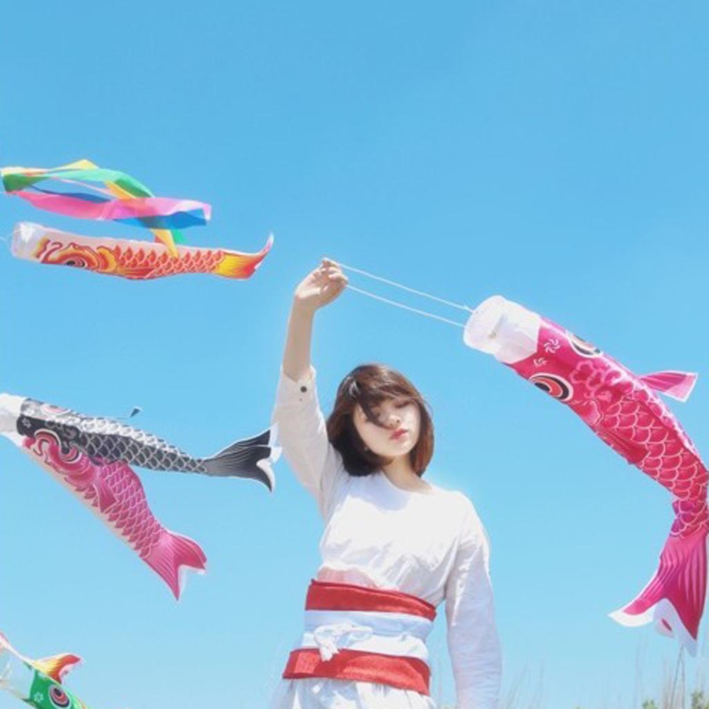 70cm Rainbow Windsock Carp Flag Koi Nobori Wind Streamer Hanging Kite Decor