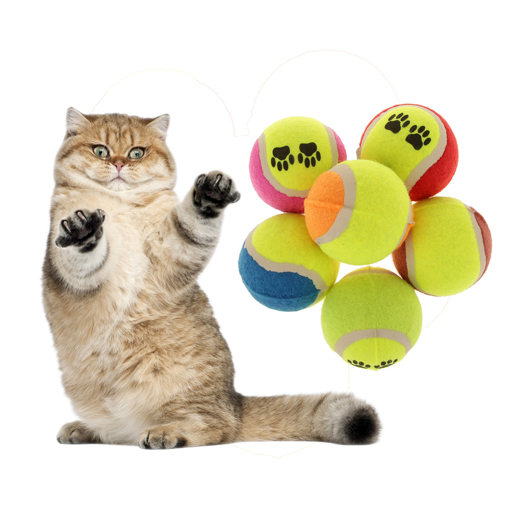 Tennis Ball Throw Fetch Puppy Toy Pet Dog Cat Pup Chew Fetch Toys