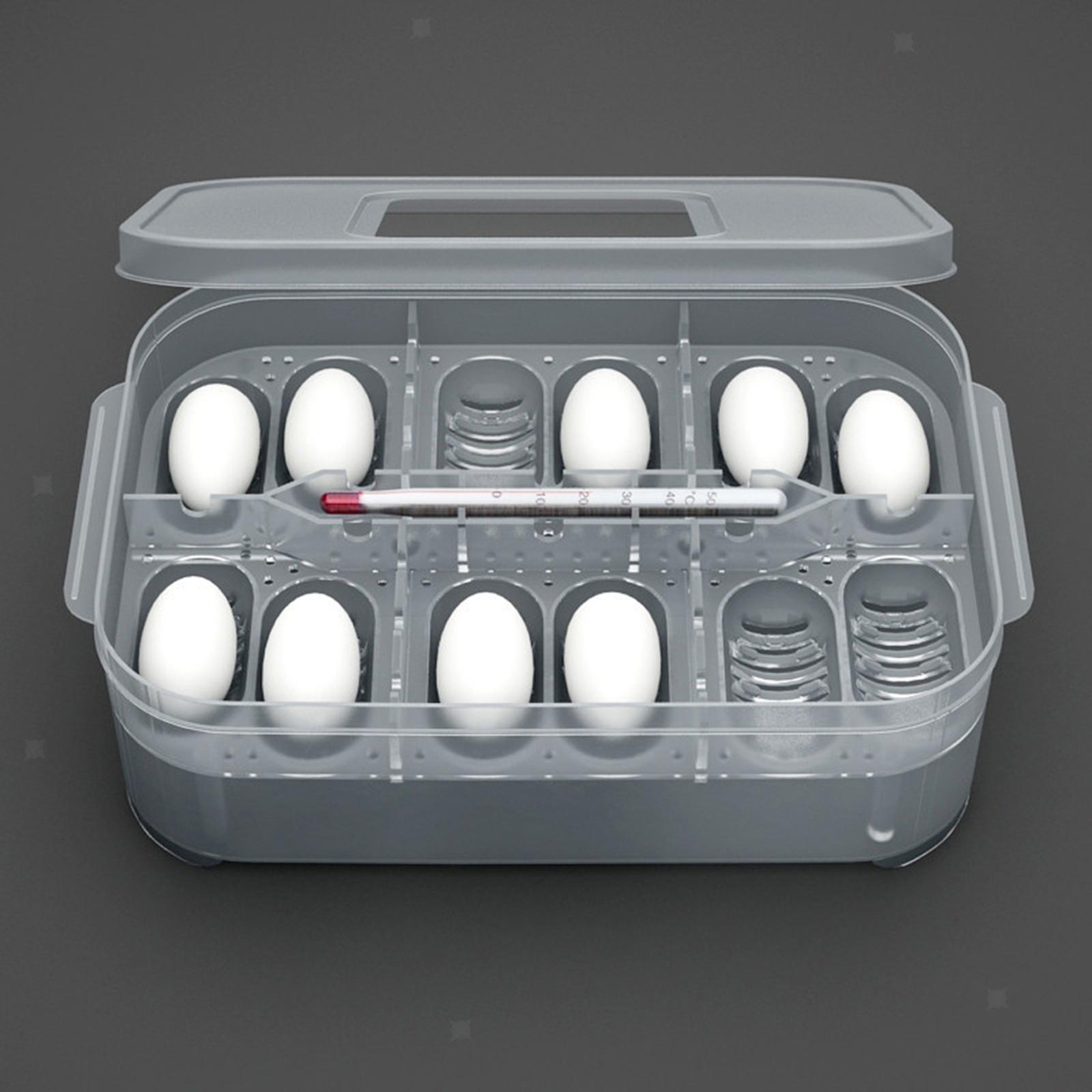 Plastic Portable and Durable Reptile Incubator Container Box Hatching Case