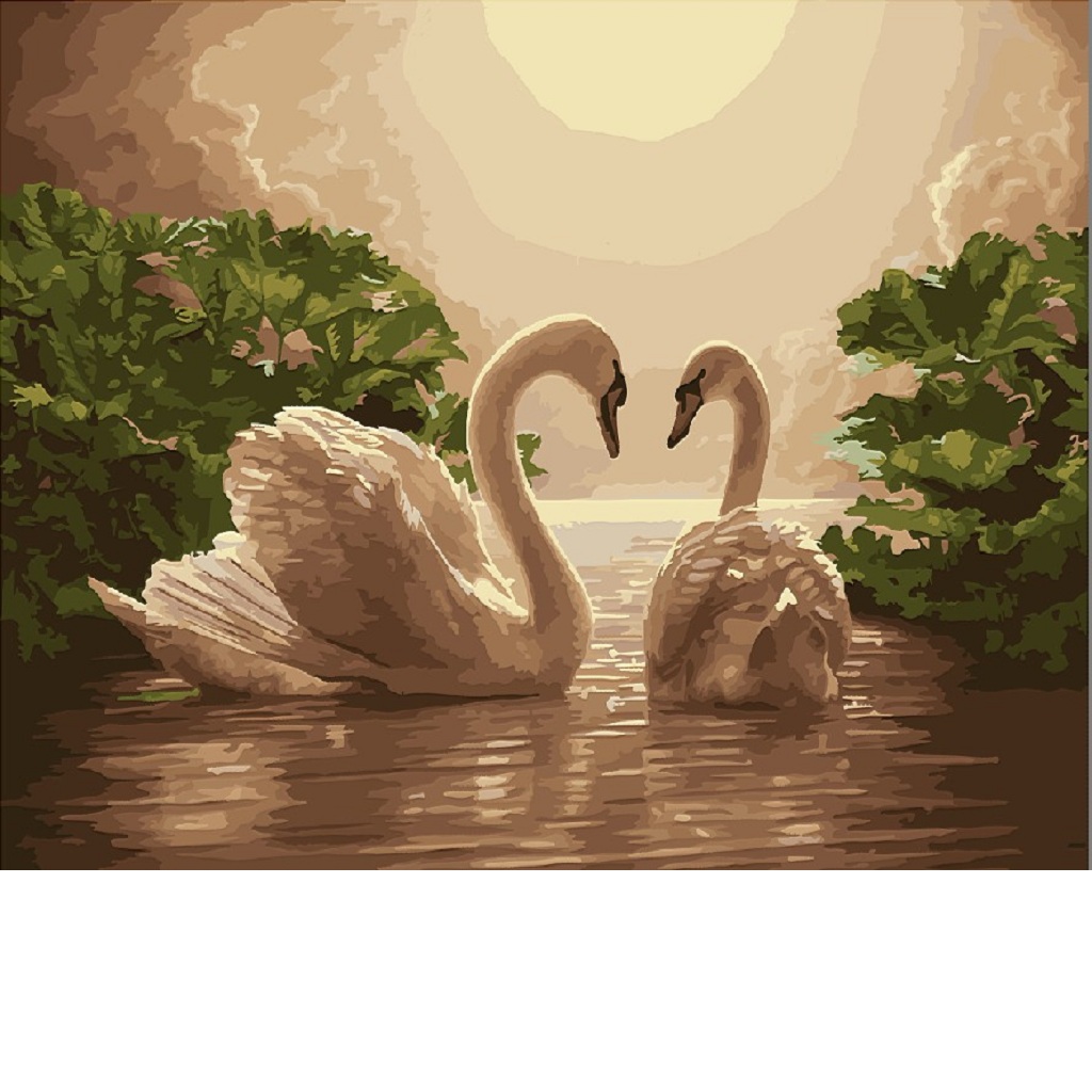 Oil Painting on Canvas Paint by Number Kits White Swan