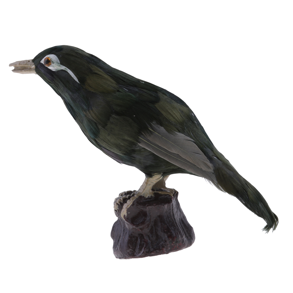 Garden Bird Ornament Realistic Animal Outdoor Statue #2 Throstle 