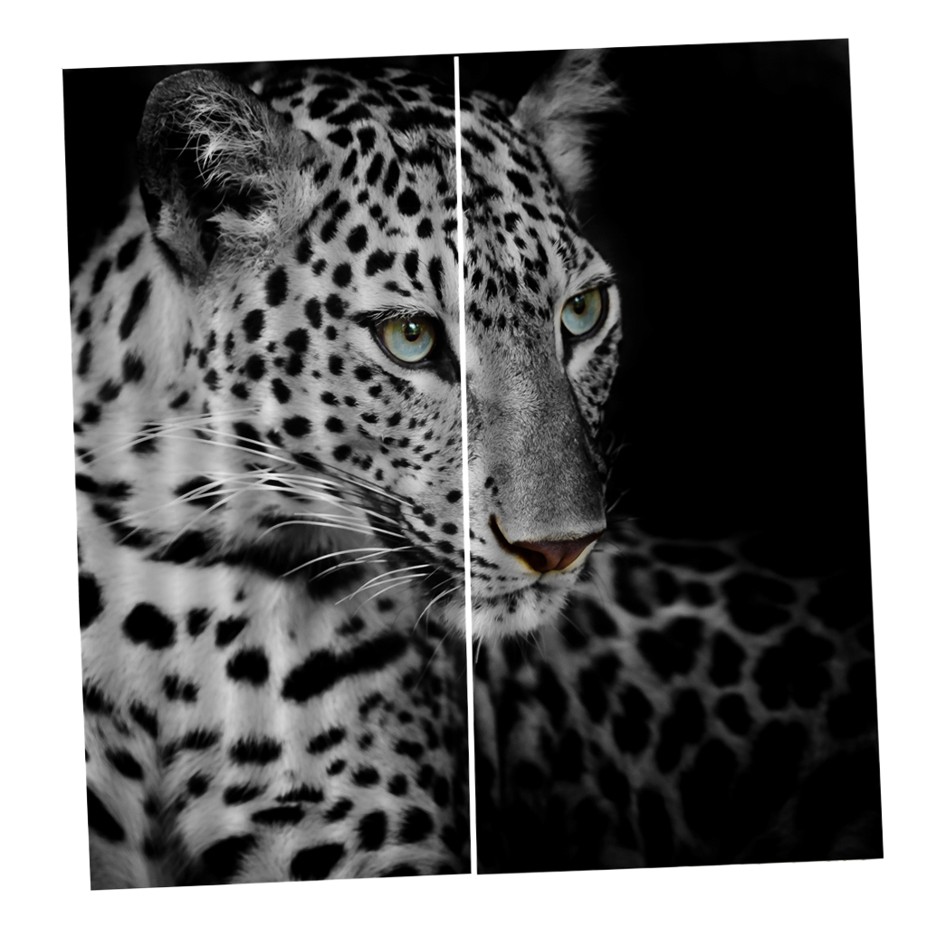 Set of 2 Panel Digital Photo Printing Blackout 3D Curtains Snow Leopard