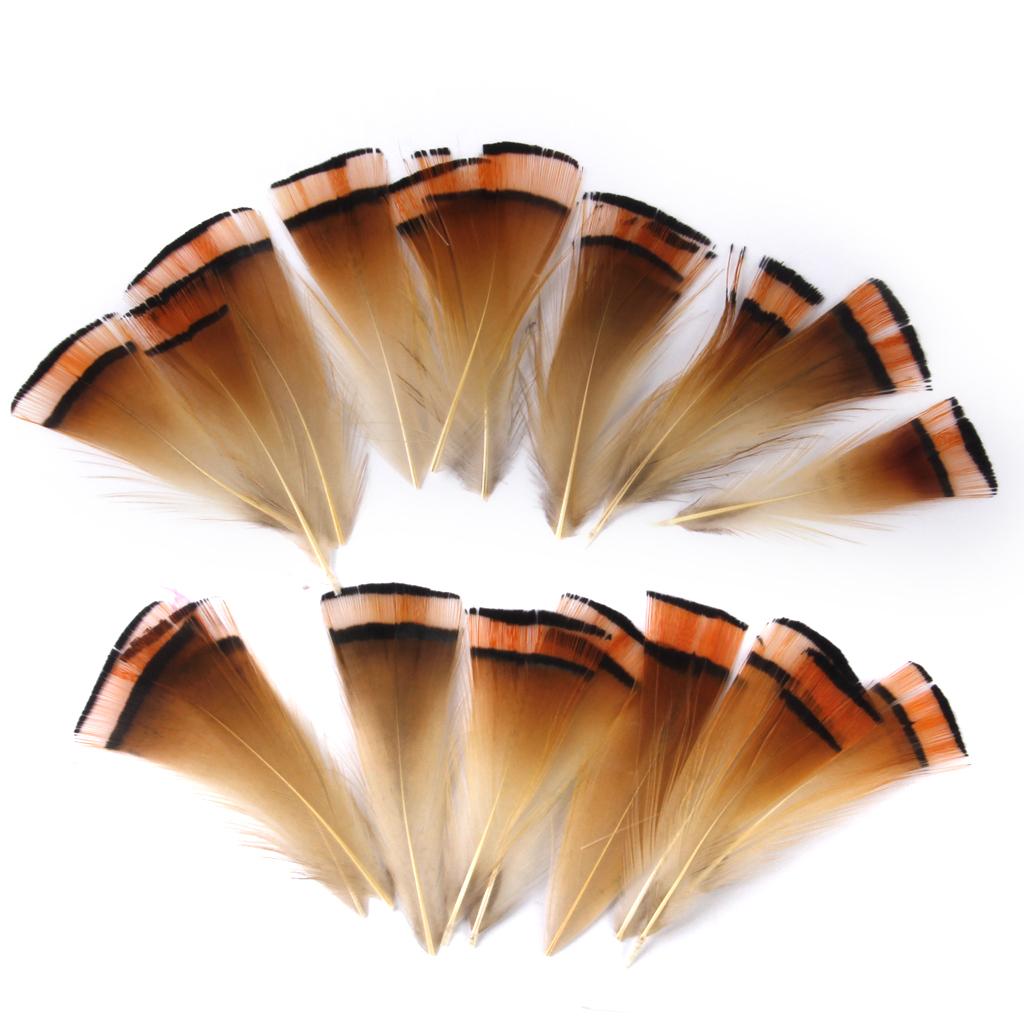 Golden Pheasant Feather for Craft Mask Hat 6-8cm 50pcs