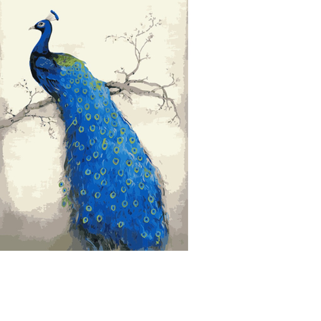 Oil Painting on Canvas Paint by Number Kits Peacock