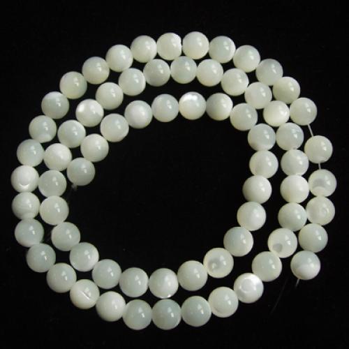 Seashell Round Loose Beads 6mm / 15 Inch