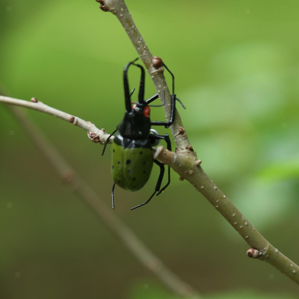 Small Summer Insect Statue Tree Lawn Ornament DIY Animal Sculpture Decor
