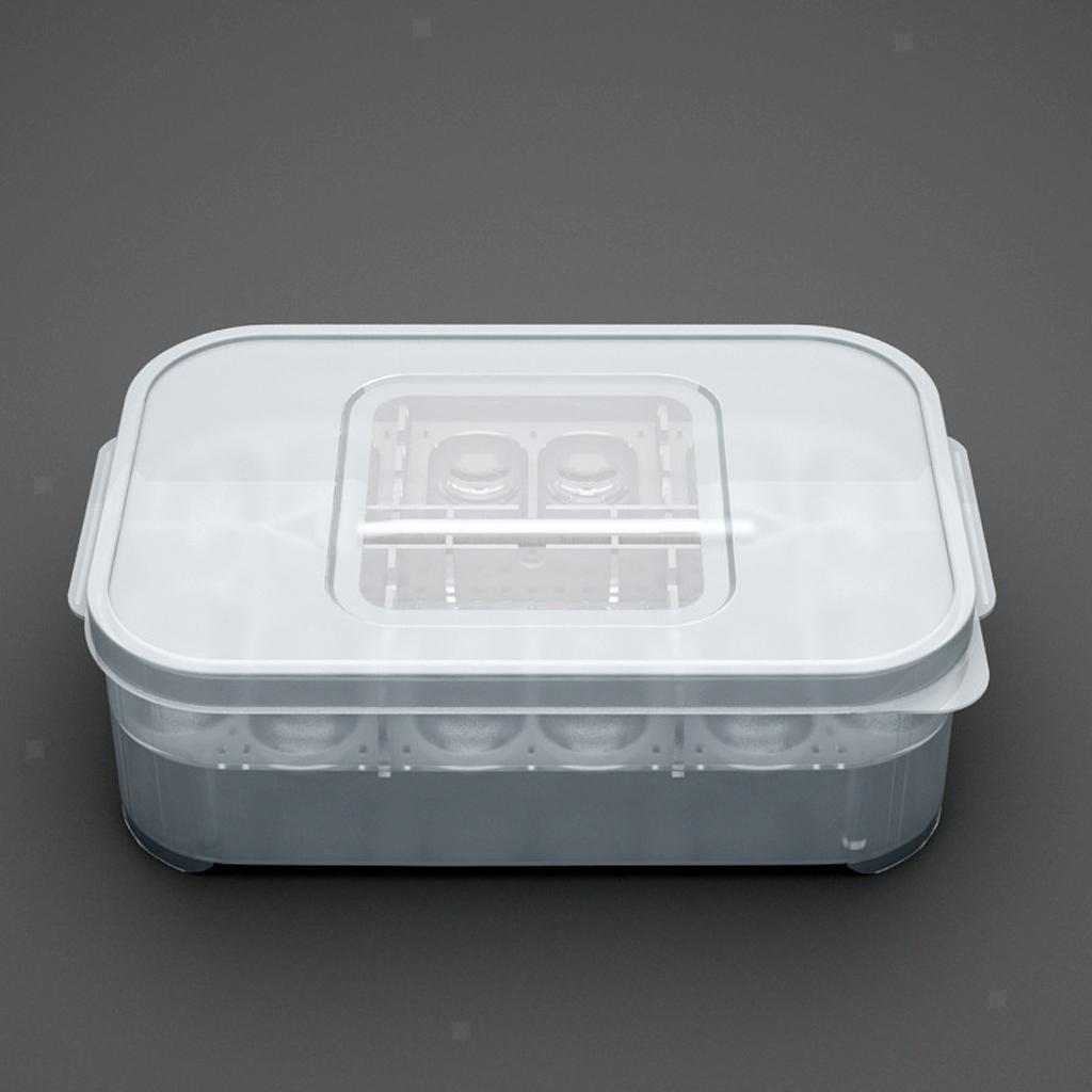 Plastic Portable and Durable Reptile Incubator Container Box Hatching Case