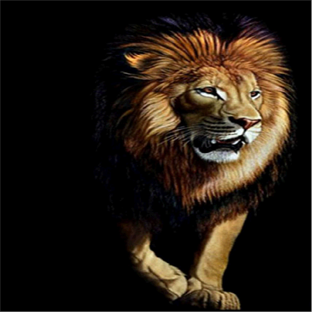 DIY 5D Diamond Embroidery Painting Cross Stitch Kit Oil paint Big Lion
