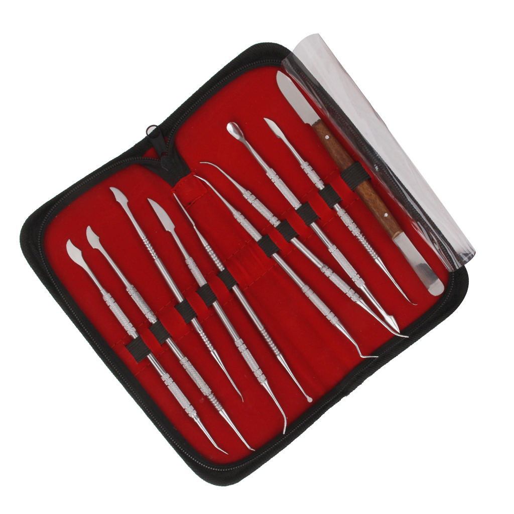 10pcs Stainless Steel Wax Carving Teeth Tool Set Dentist Dental Lab Kit