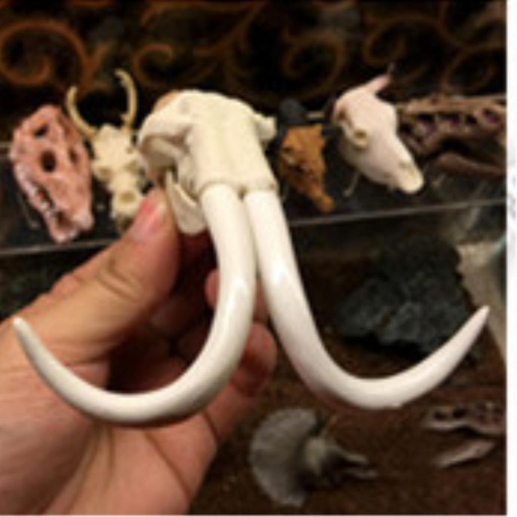 Creative Animal Head Skull  Aquarium Decoration Elephant Head Bone