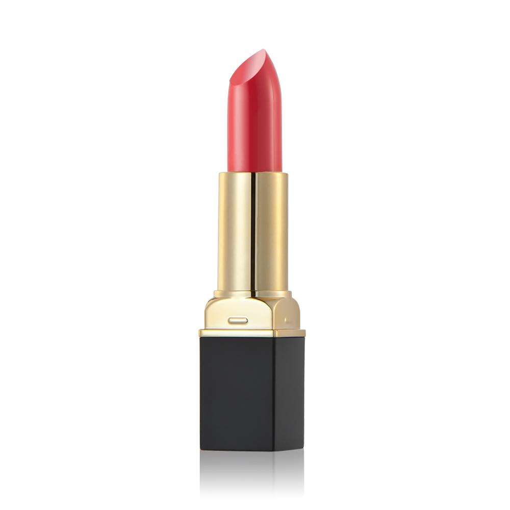 Long Lasting Waterproof Matte Lipstick Lip Gloss Pencil Beauty Makeup 06#