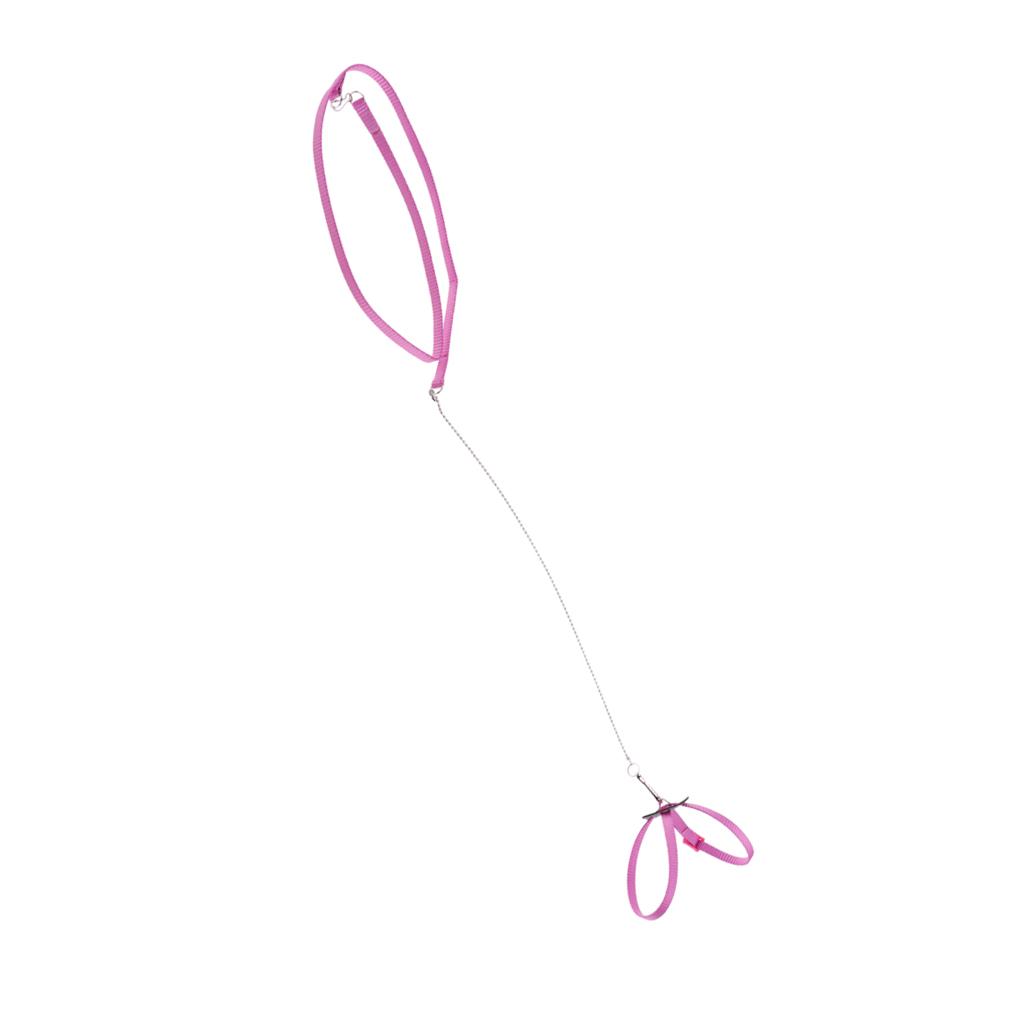 Reptile Lizard Parrot Bird Harness Leash Adjustable Anti-bite Rope Pink