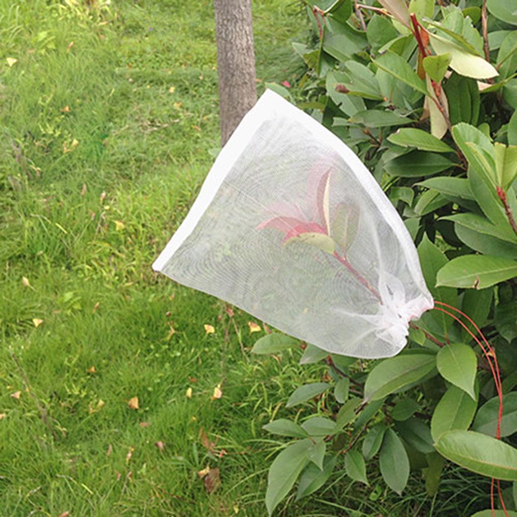 100 Agriculture Garden Parchment Farming Pollen Protection Paper Bags 22*9cm