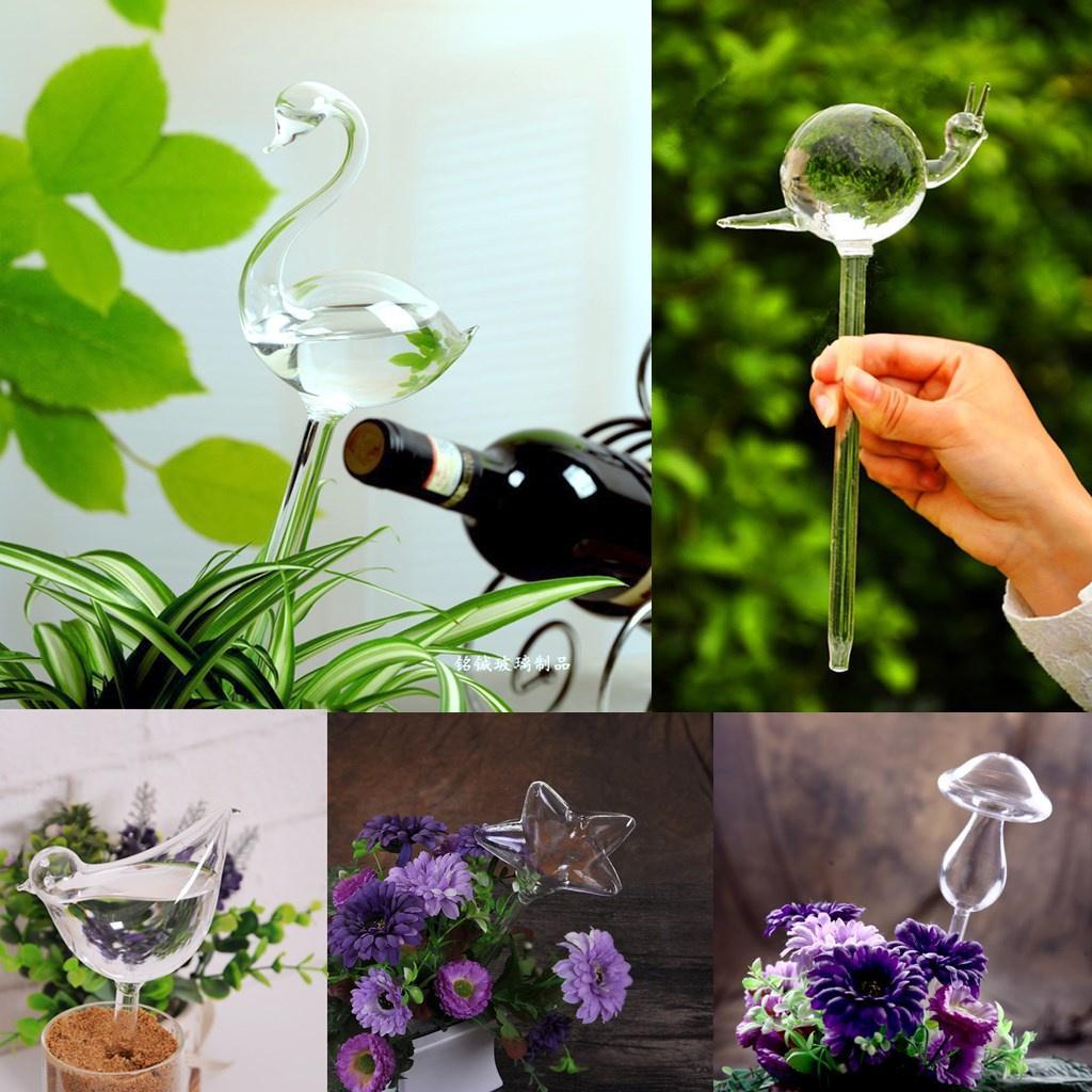 Automatic Glass Star Shape Simple Watering Device Plant for Garden 