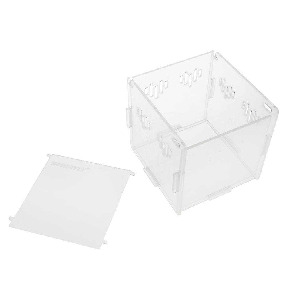 Acrylic Box Crawler Spider Scorpion Centipede Insect Feeding Insect Box - XS