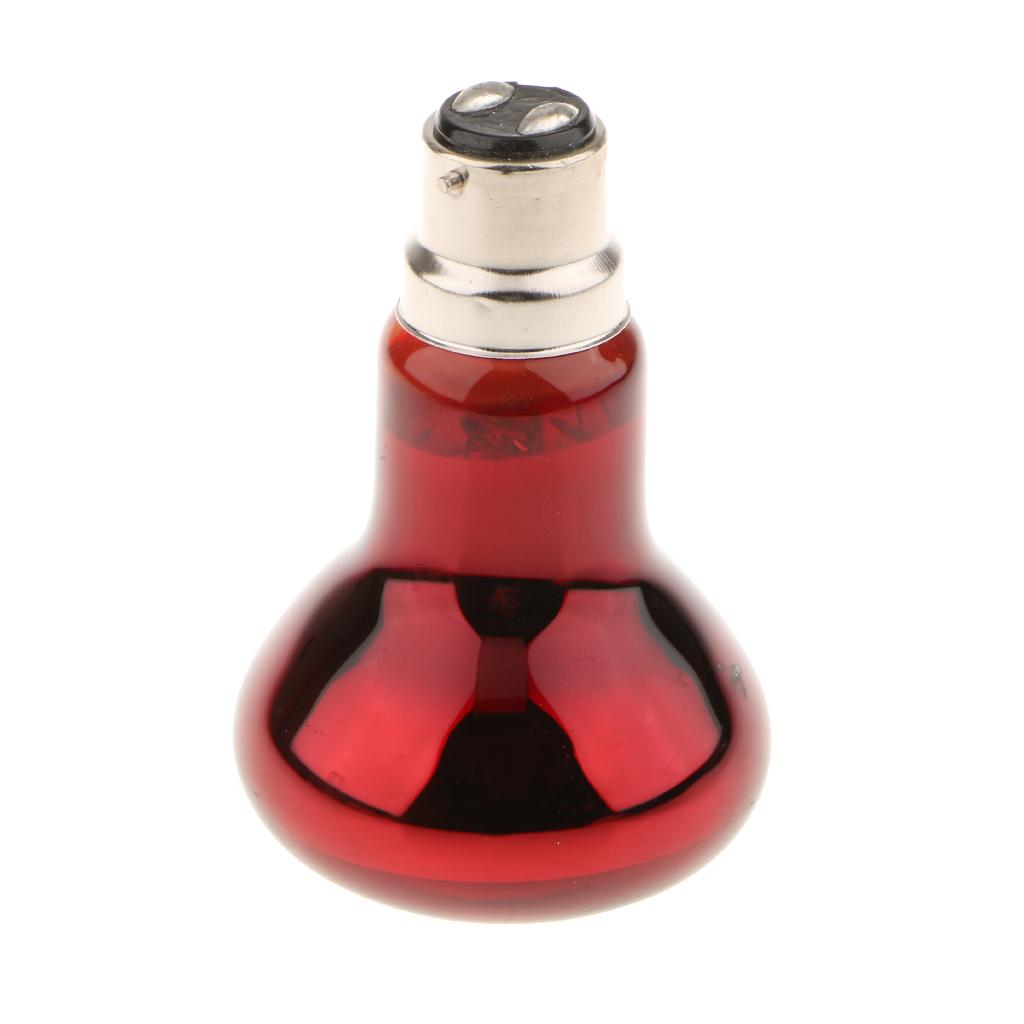 B22 UVA Heater Reptile Heat Basking Lamp Moonlight Bulb 220V  75W