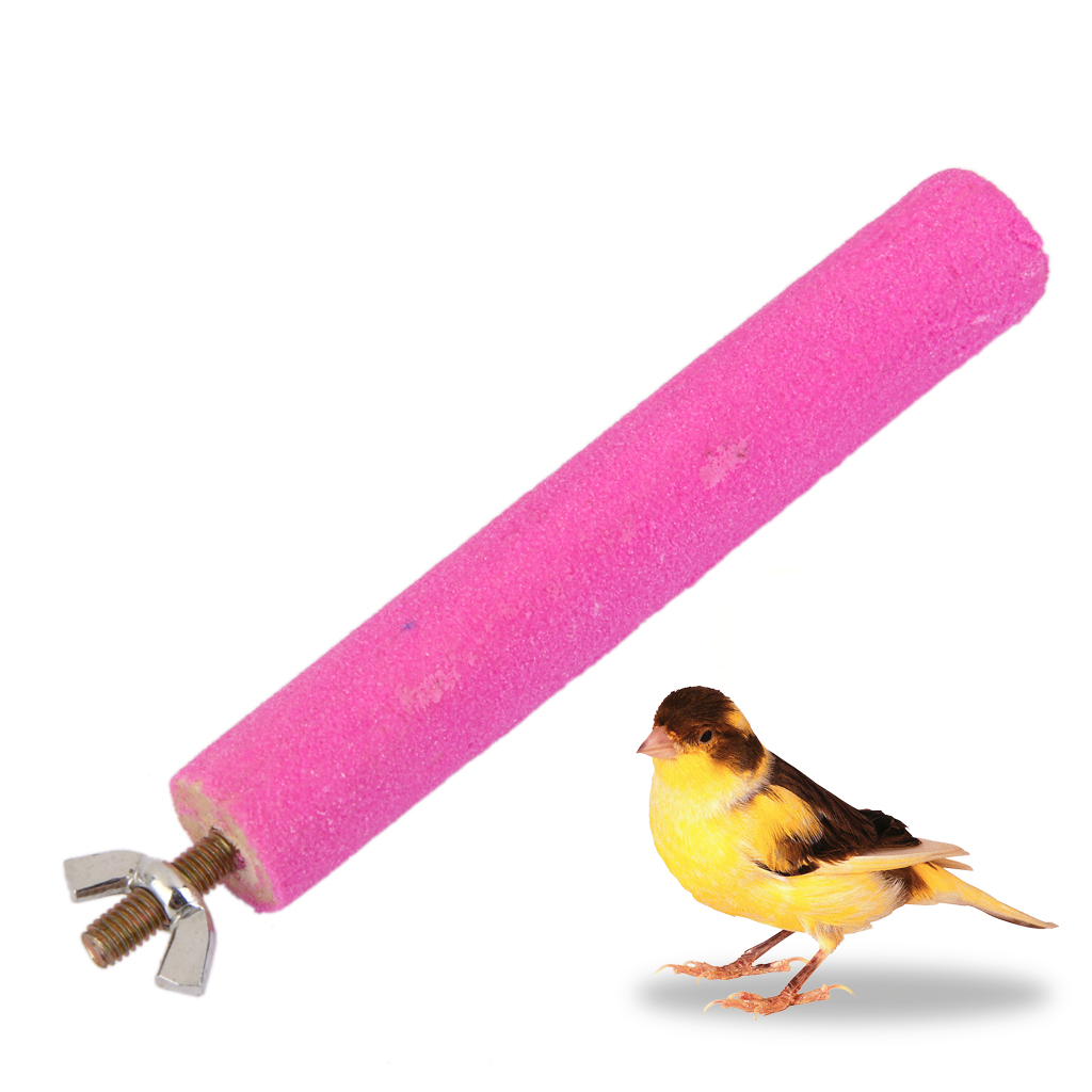 Parrot Bird Bite Chew Toy Paw Grinding Toys Cage Clean Tool Budgie 2*13cm