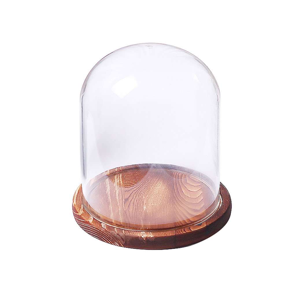 Clear Glass Ball Cover Flower Vase DIY Microlandscape Terrarium Bottle Pot