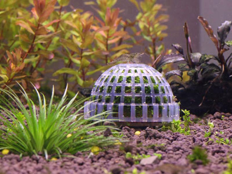 Aquarium Fish Tank Media Pond Clear Plastic Bio Biological Ball Filter Filtration