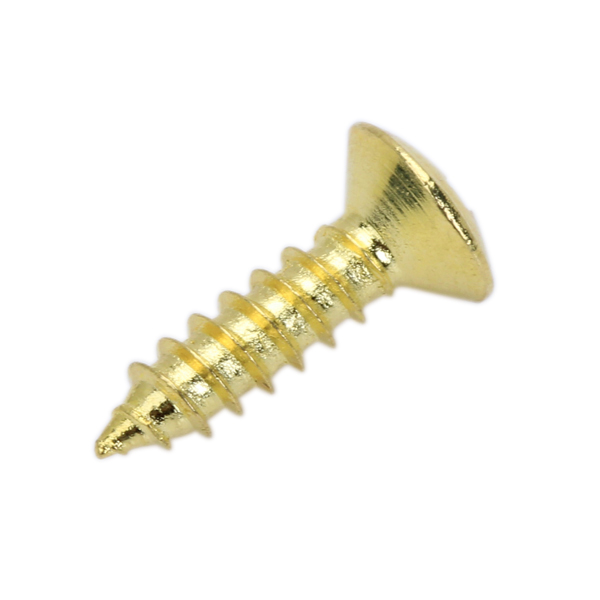 10pcs Gold Screws for Guitar Pickguard Cover Plate