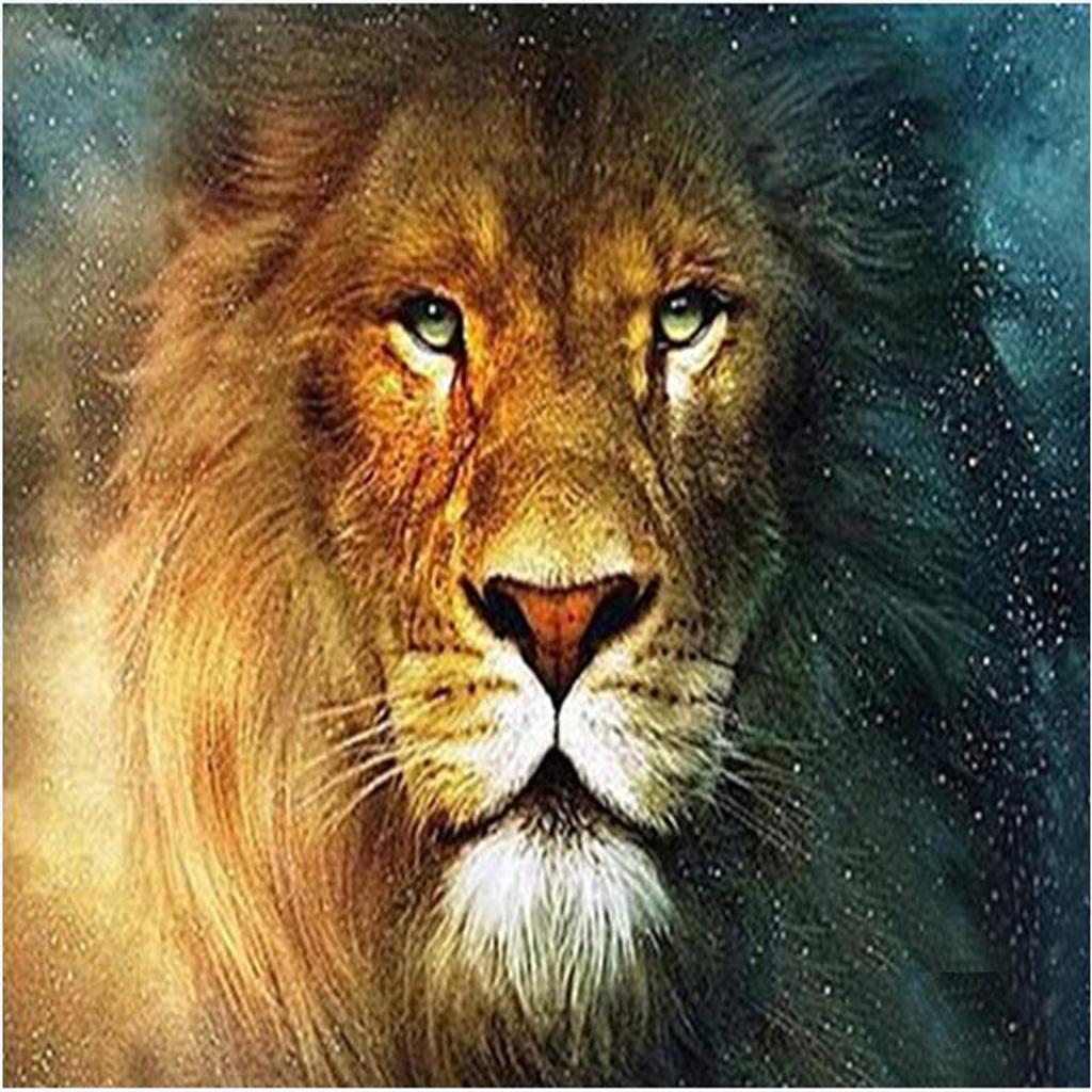 5D DIY Diamond Painting Embroidery Rhinestone Pictures Lion 30x40cm