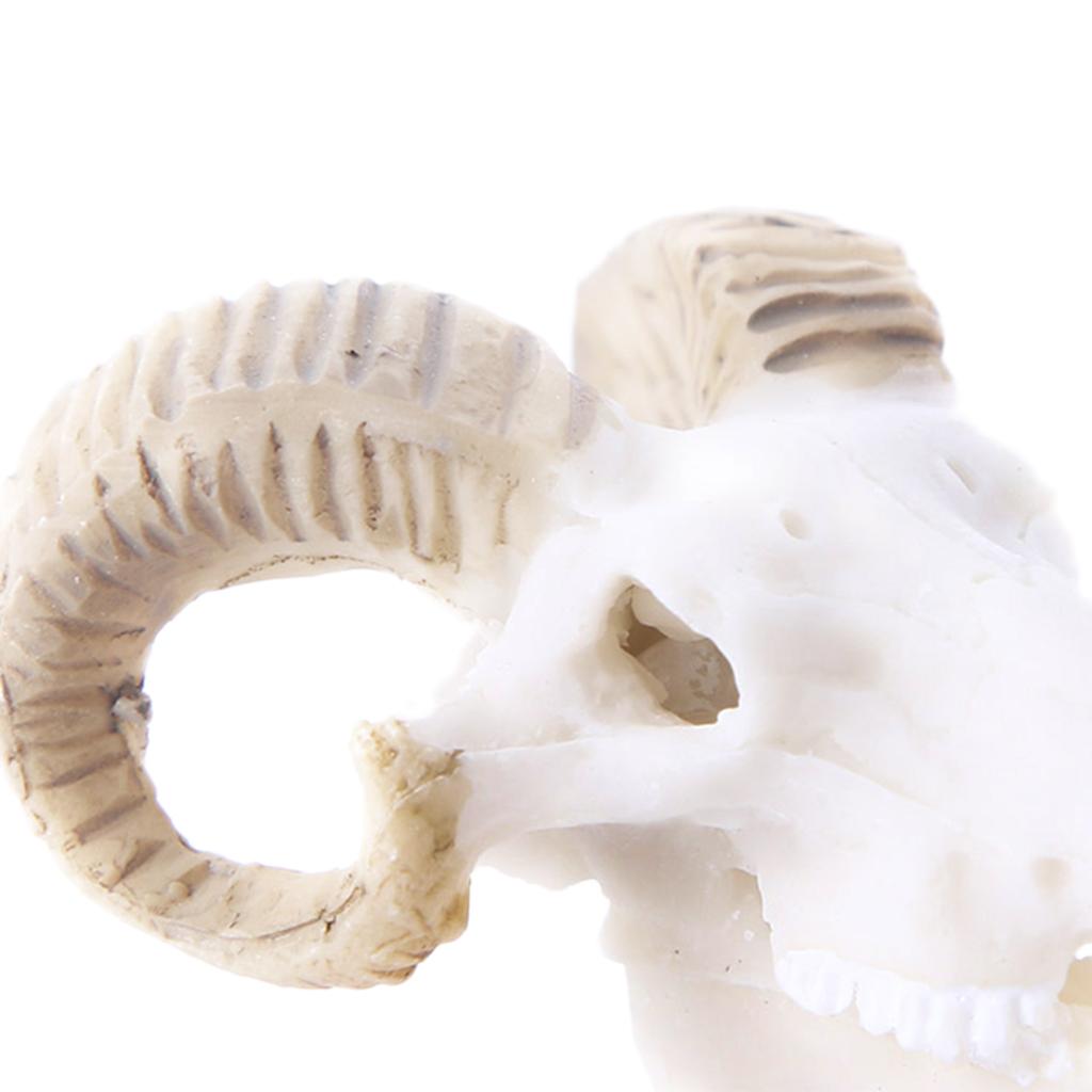 Resin Goat Skull Aquarium Ornament Fish Tank Reptile Terrarium Aquascaping