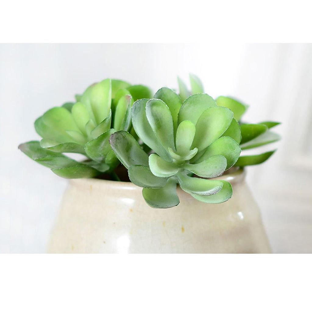 Artificial Miniature Lotus Simulation Succulents Plants Flower Decor S