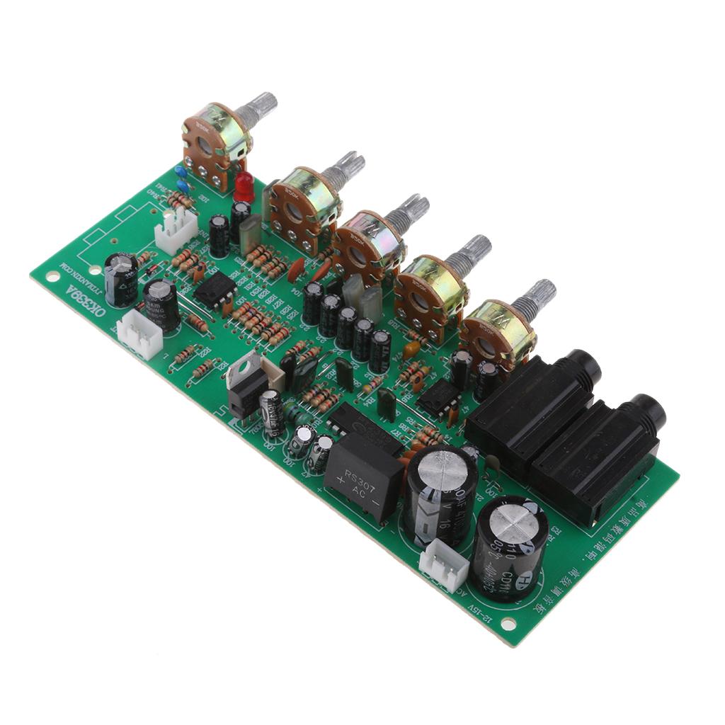 OK339 12V HD Digital Karaoke Amplifier Board Module DIY