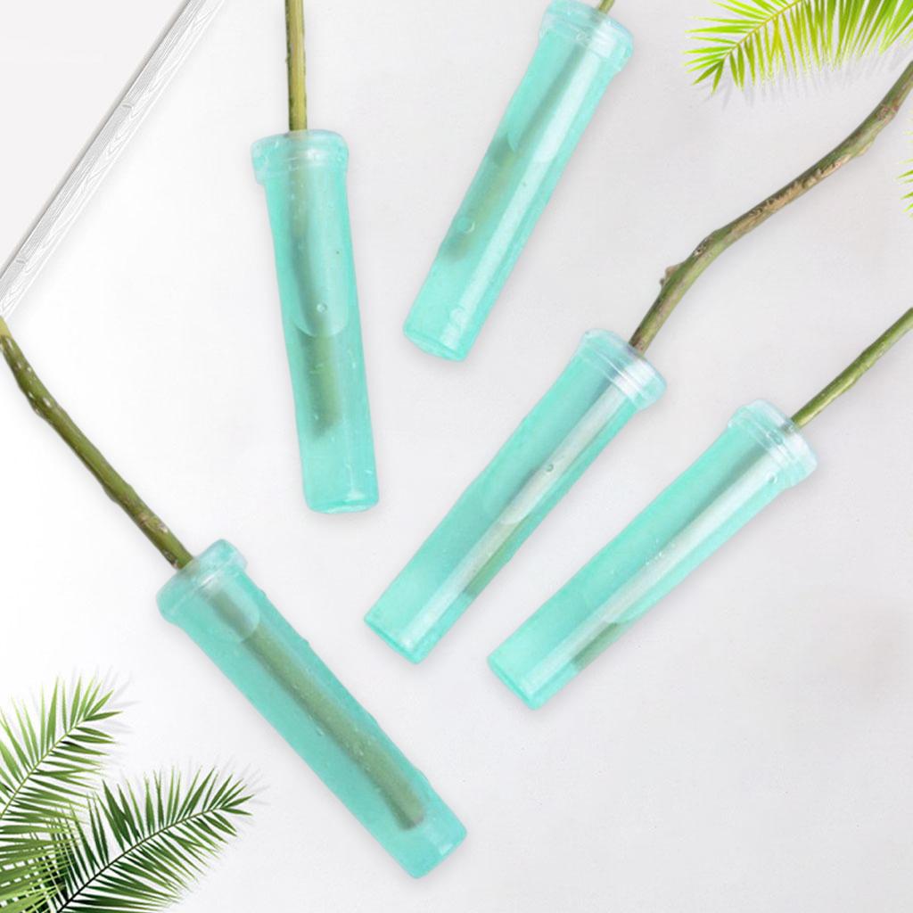 Rose Plastic Flower Rhizome Water Tubes/Vials for Flower Arrangements Arts