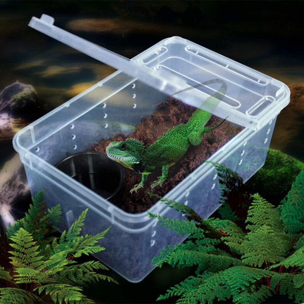 Pet Aquatic Reptile Breeding Box Transport Case Feeding Hatching Tank H3
