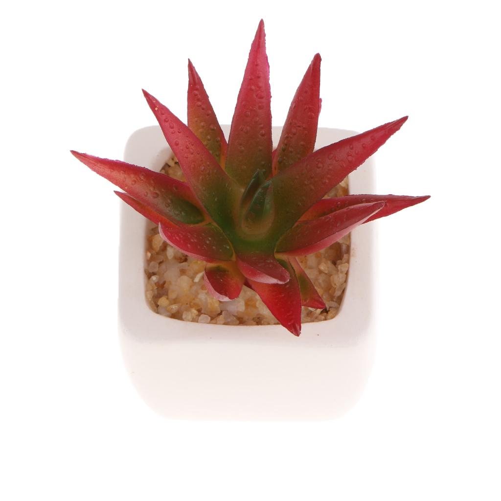 Artificial Succulent Plant Potted Cactus Lotus Aloe Miniature Plant 4Pcs #11