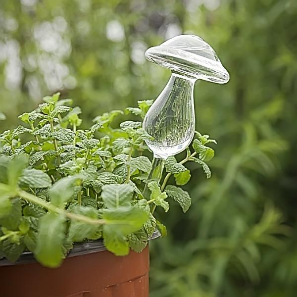 Automatic Glass Mushroom Shape Simple Watering Device for Garden Flower