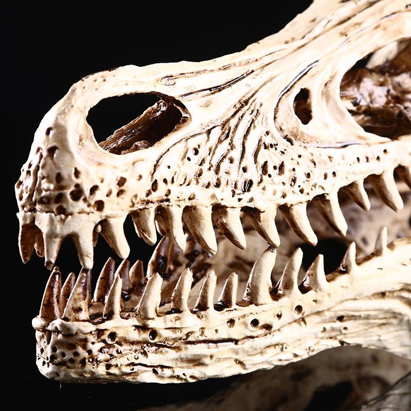 Resin Raptor Dinosaur Skull Model Pub Bar Decor Collectibles White