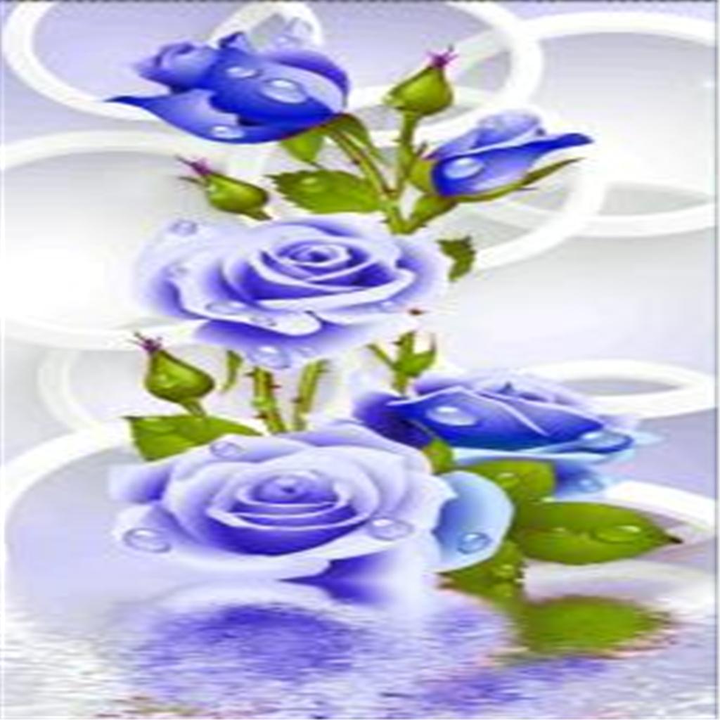 5D DIY Diamond Painting Embroidery Rhinestone Pictures Blue Rose 30x56cm