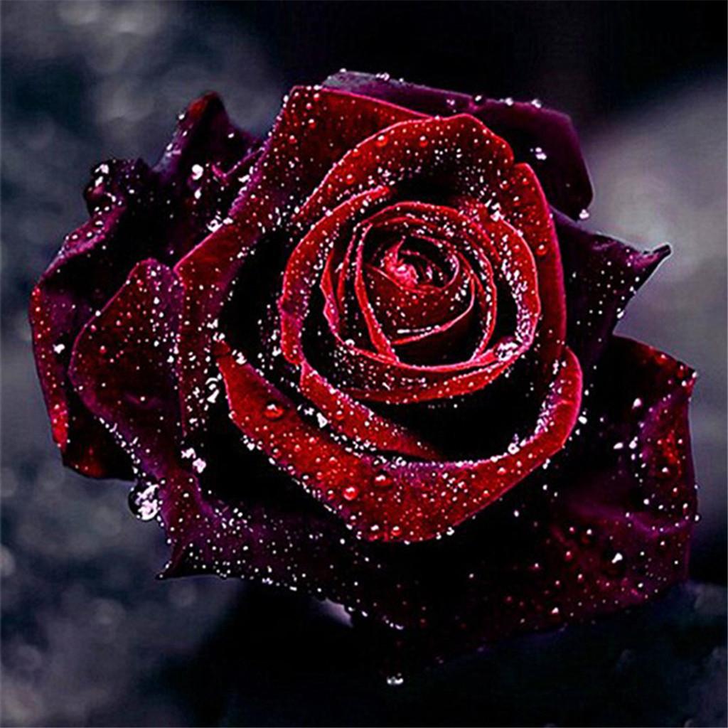 5D DIY Diamond Painting Embroidery Rhinestone Pictures Blooming Rose 30x30cm