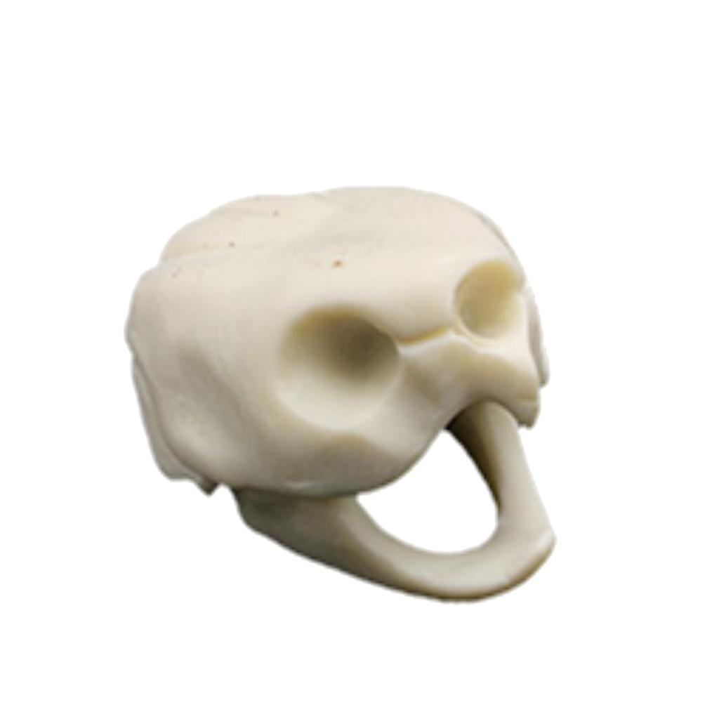 Creative Animal Head Skull  Aquarium Decoration Turtle Skull