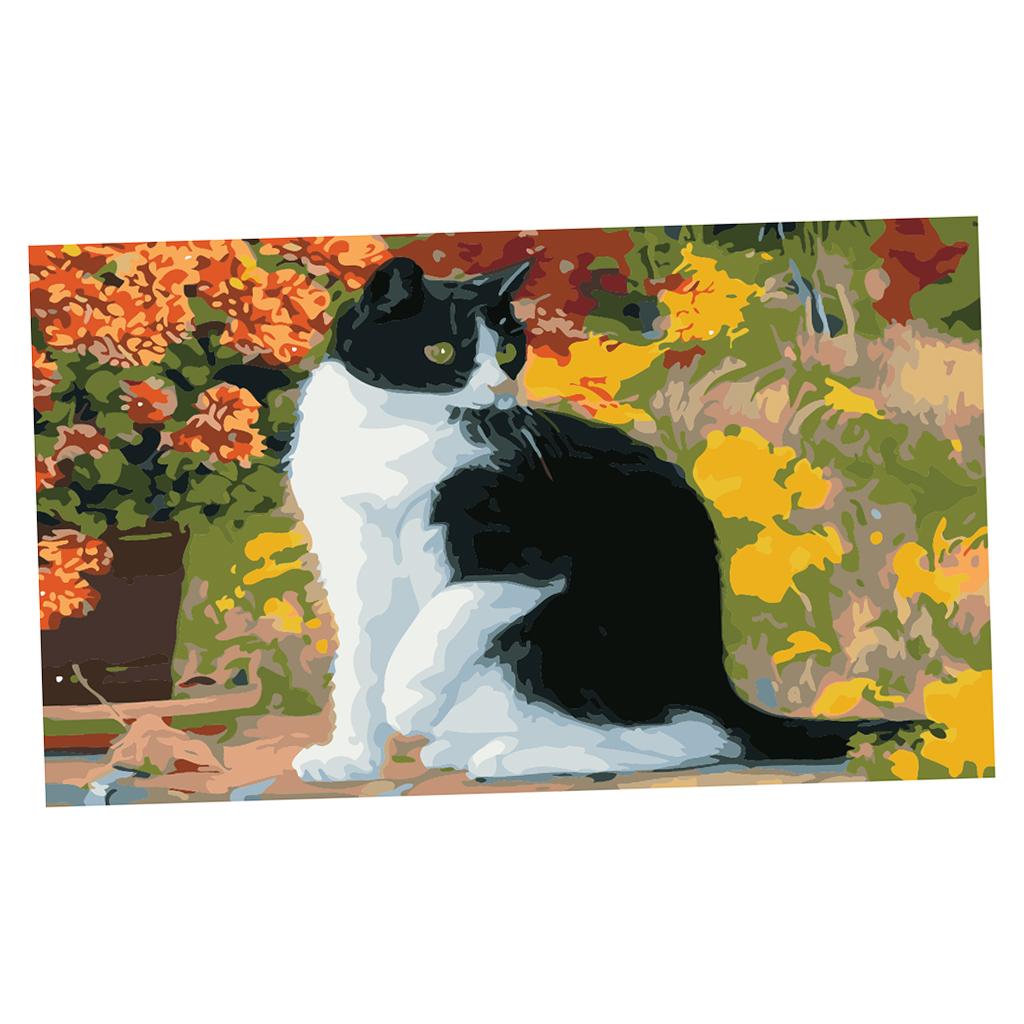 DIY Painting By Number Kit Canvas Wall Art Oil Painting Picture Cat