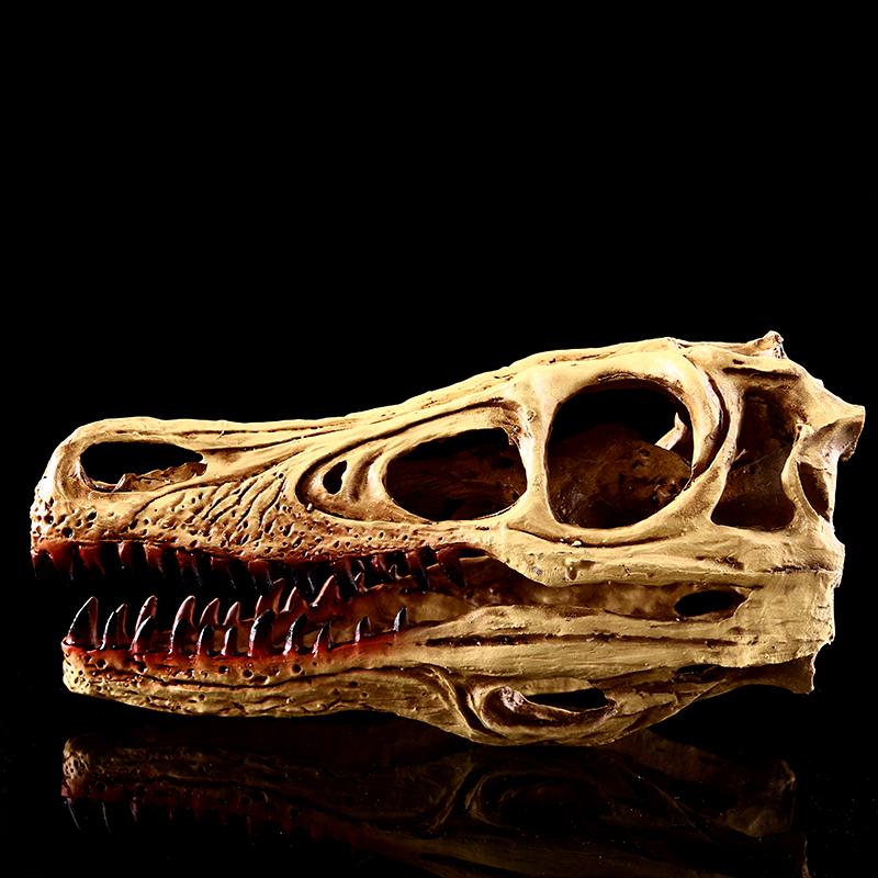 Resin Raptor Dinosaur Skull Model Pub Bar Decor Collectibles WHT Red