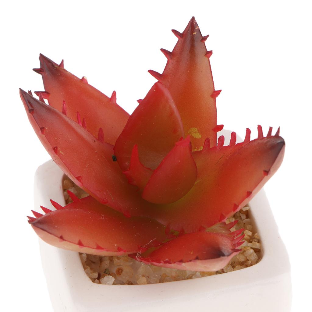 Artificial Succulent Plant Potted Cactus Lotus Aloe Miniature Plant 4Pcs #5