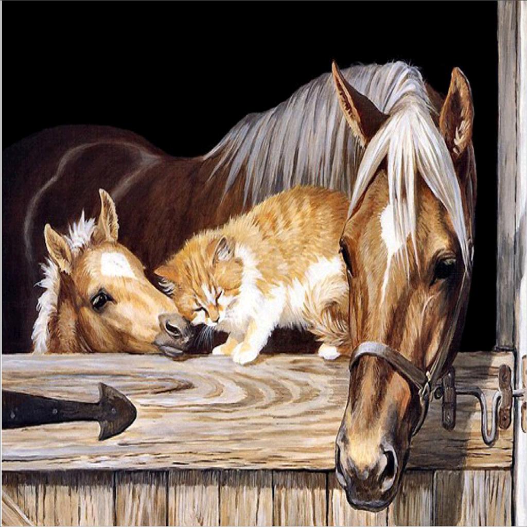 DIY 5D Diamond Embroidery Painting Cross Stitch Kit Oil paint Horses and Cat