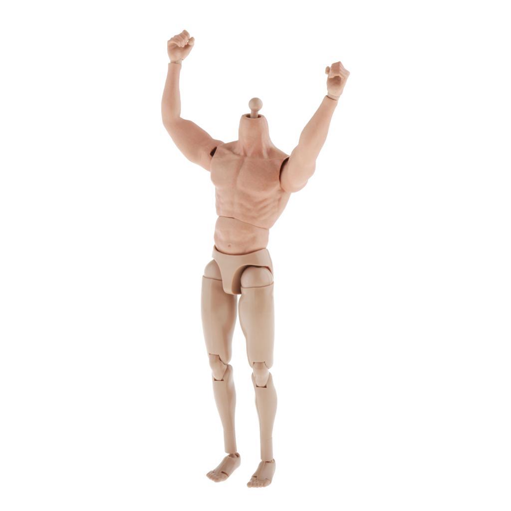 1//6th Scale Muscular Action Figure 12inch Male Nude Body for TTM18 TTM19 Head