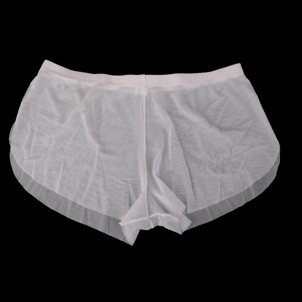 Sexy Men Mesh Underwear See Through Boxers Trunks Briefs White M