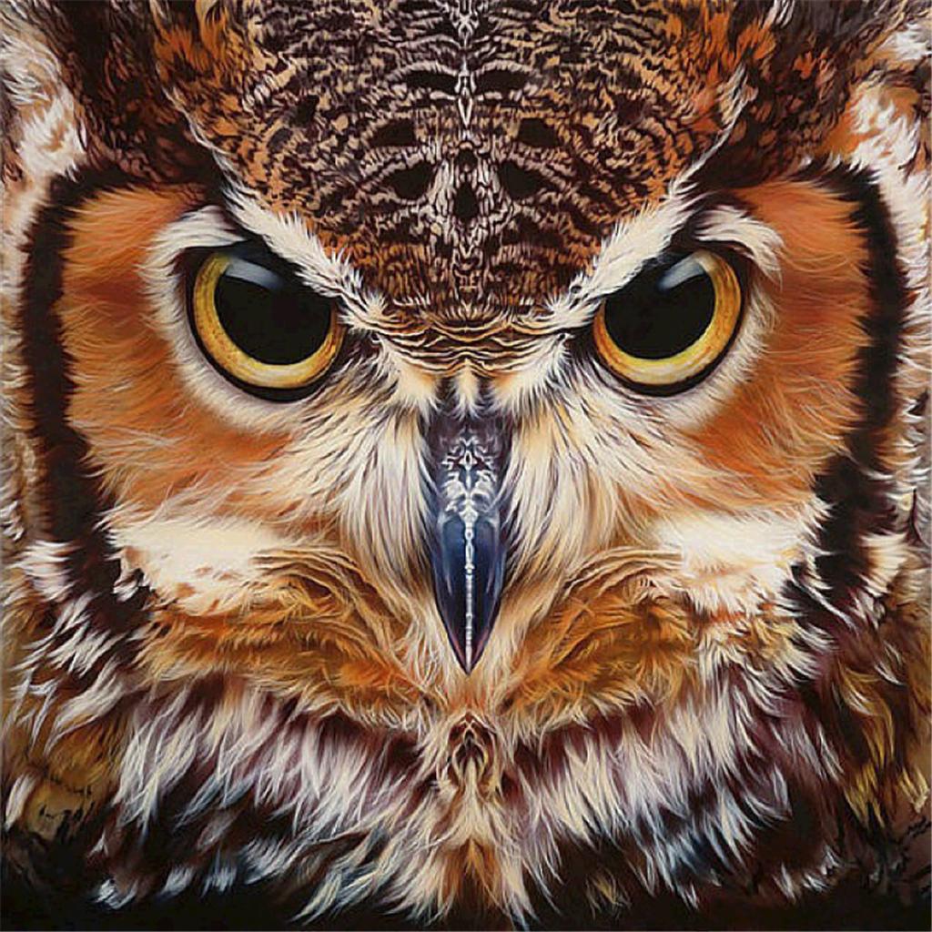 5D DIY Diamond Painting Rhinestone Pictures Owl Face 30x30cm