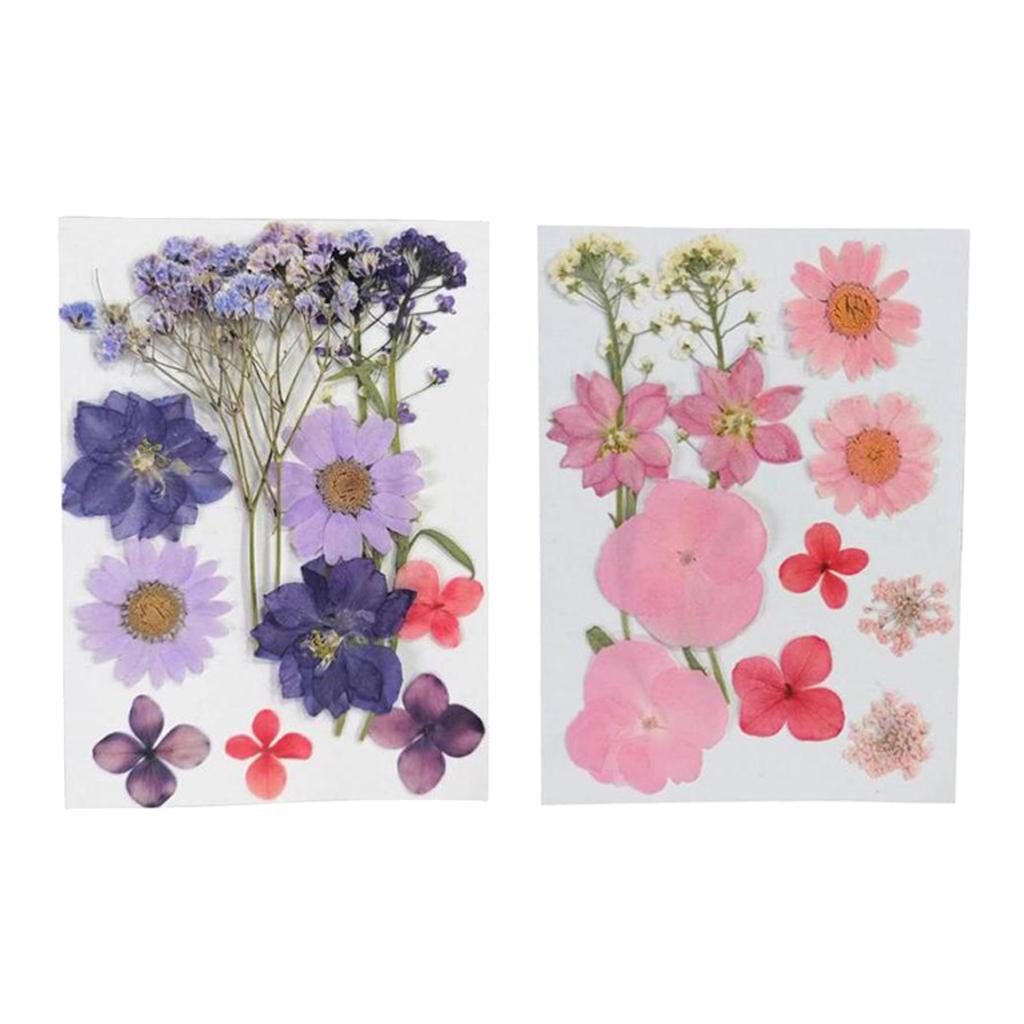 2 Bags/24Pcs Real Dried Flowers Pressed Leaves