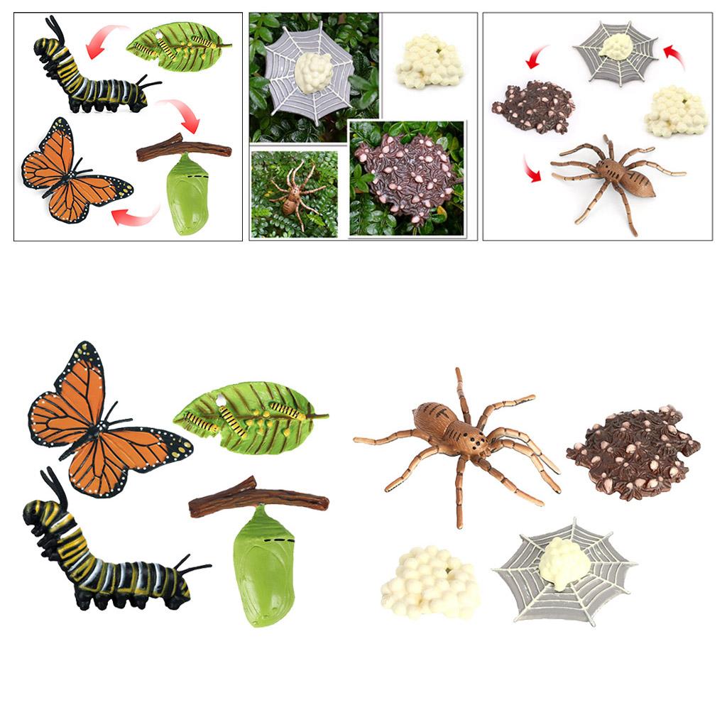 Realistic Nature Insects Growth Child Education Learning Teaching Toys